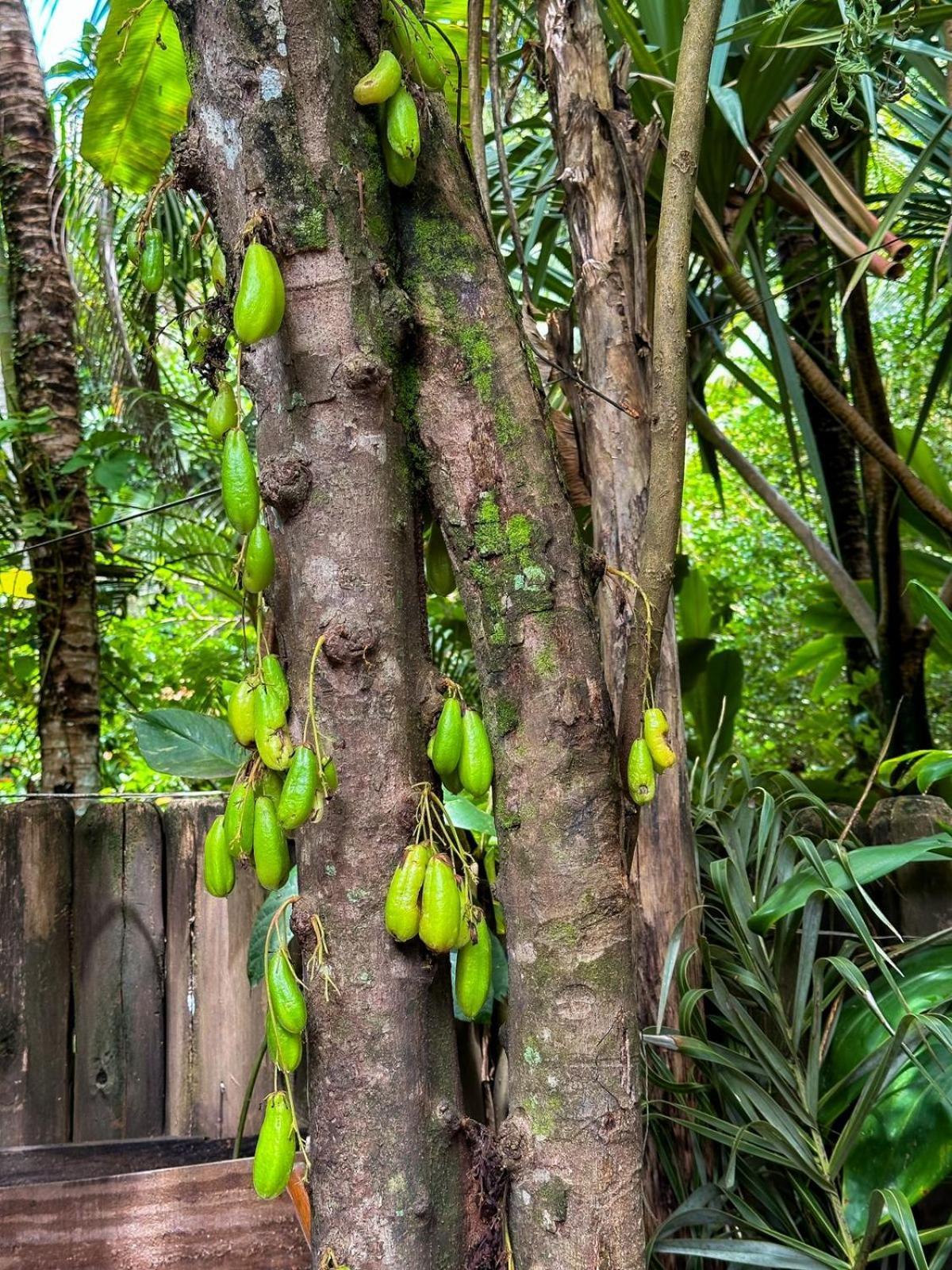 Casa Da Gloria Trancoso - Pousada Boutique 外观 照片